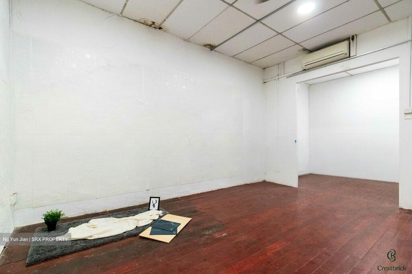 Jalan Besar Stadium (D8), Shop House #497506041